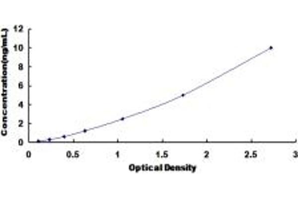 GLDC ELISA Kit