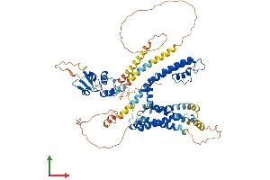 Protein Structure (PS) image for Potassium Voltage-Gated Channel, Shaker-Related Subfamily, Member 4 (KCNA4) (AA 1-654) protein (His tag) (ABIN7563914)