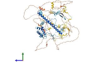 Protein Structure (PS) image for Enhancer of Polycomb Homolog 1 (EPC1) (AA 1-836) protein (His tag) (ABIN7553844)