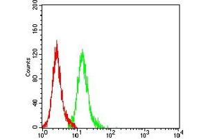 Flow Cytometry (FACS) image for anti-Lysine (K)-Specific Demethylase 1A (KDM1A) (AA 709-876) antibody (ABIN7193459)
