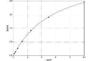 RAB8A, Member RAS Oncogene Family (RAB8A) ELISA Kit