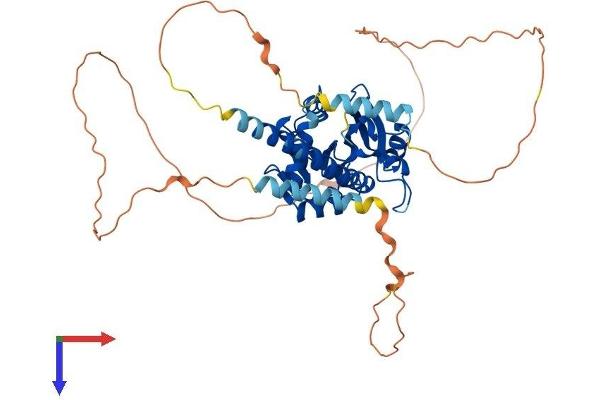 RRP8 Protein (AA 1-457) (His tag)