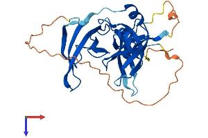 Spindlin 1 Protein (SPIN1) (AA 1-262) (His tag)