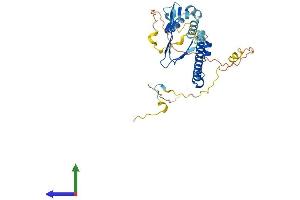 Protein Structure (PS) image for E2F5 (E2F5) (AA 1-335) protein (His tag) (ABIN7557713)
