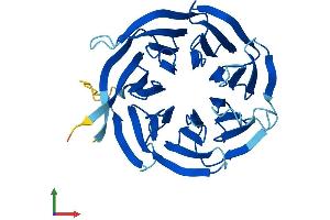 Protein Structure (PS) image for Guanine Nucleotide Binding Protein (G Protein), beta Polypeptide 2-Like 1 (GNB2L1) (AA 1-317) protein (His tag) (ABIN7563506)