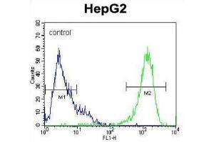 MAPK1 Antibody flow cytometric analysis of HepG2 cells (right histogram) compared to a negative control cell (left histogram). (ERK2 Antikörper  (C-Term))