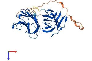 LGALS9B Protein (AA 1-356) (His tag)