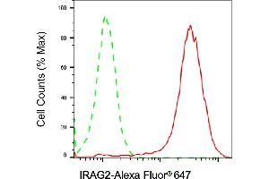 Flow cytometric analysis of IRAG2 expression in Raji cells using IRAG2 antibody (ABIN7799126), 1:2,000). (IRAG2 Antikörper)