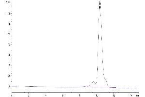 The purity of Biotinylated Human TROP-2 is greater than 95 % as determined by SEC-HPLC. (TACSTD2 Protein (AA 27-274) (His-Avi Tag,Biotin))