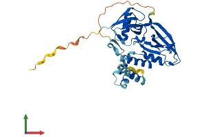 Protein Structure (PS) image for GIPC PDZ Domain Containing Family, Member 3 (GIPC3) (AA 1-297) protein (His tag) (ABIN7559783)