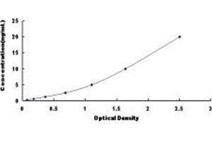 Typical standard curve (NET1 ELISA Kit)