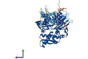 Protein Structure (PS) image for Heat Shock 70kDa Protein 1-Like (HSPA1L) (AA 1-641) protein (His tag) (ABIN7554133)
