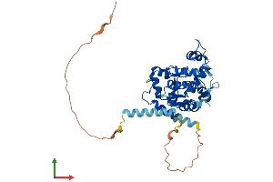Protein Structure (PS) image for Carbohydrate (N-Acetylgalactosamine 4-0) Sulfotransferase 14 (CHST14) (AA 1-376) protein (His tag) (ABIN7564266)