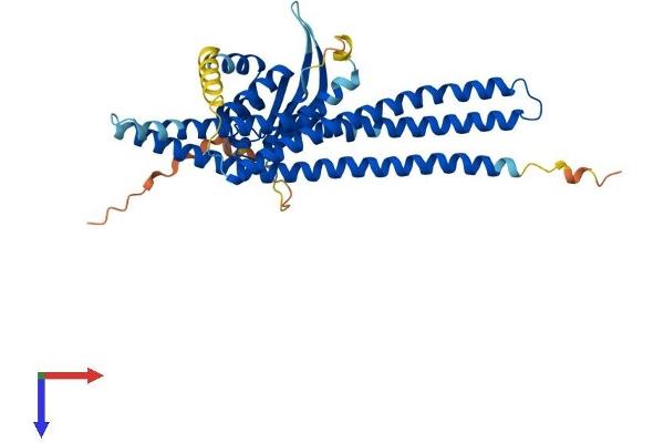 Sorting Nexin 7 Protein (SNX7) (AA 1-387) (His tag)