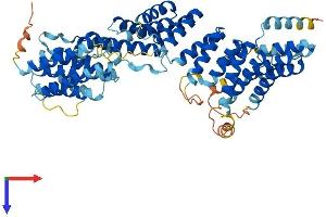FANCG Protein (AA 1-623) (His tag)
