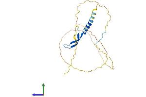 AlphaFold protein structure predicition of Human Recombinant BCL7A Protein, UniprotID Q4VC05