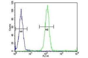 ACCN1 antibody flow cytometric analysis (intracellular) of human WiDr cells (right histogram) compared to a negative control (left histogram). (ACCN1 Antikörper  (AA 120-148))