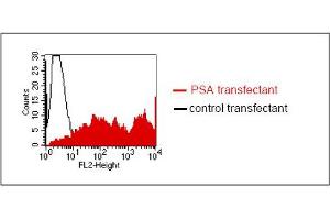 FACS analysis of BOSC23 cells using LT-3D2. (Prostate Specific Antigen Antikörper)