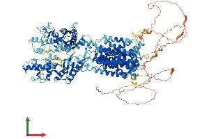 Protein Structure (PS) image for Patched 2 (PTCH2) (AA 1-1203) protein (His tag) (ABIN7555098)