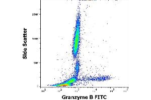 Flow cytometry intracellular staining pattern of human peripheral whole blood stained using anti-human Granzyme B (CLB-GB11) FITC antibody (4 μL reagent / 100 μL of peripheral whole blood). (GZMB Antikörper  (FITC))