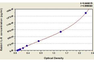 Interleukin 8 (IL8) ELISA Kit