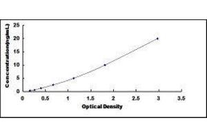 Ribosomal Protein S6 Kinase, 90kDa, Polypeptide 1 (RPS6KA1) ELISA Kit