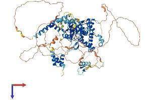 OTUD7B Protein (AA 1-843) (His tag)