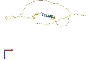 TCEAL6 Protein (AA 1-200) (His tag)