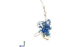 AlphaFold protein structure predicition of Human Recombinant RBPJ Protein, UniprotID Q06330 (RBPJ Protein (AA 1-500) (His tag))