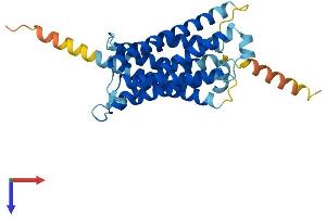 MRGPRE Protein (AA 1-312) (His tag)
