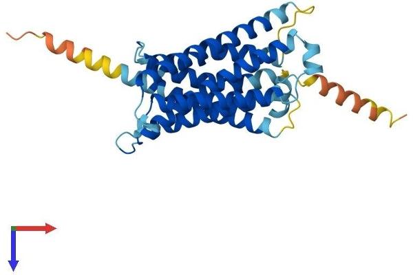 MRGPRE Protein (AA 1-312) (His tag)