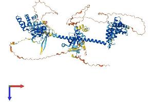 BRD1 Protein (AA 1-1058) (His tag)