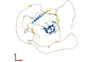 AlphaFold protein structure predicition of Human Recombinant ETV5 Protein, UniprotID P41161