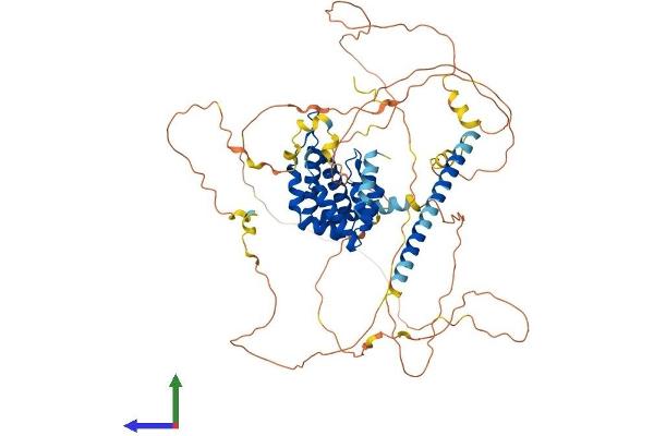 Epsin 2 Protein (EPN2) (AA 1-641) (His tag)