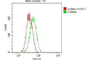 Overlay histogram showing Jurkat cells stained with ABIN7127817 (red line) at 1:50. (Rekombinanter SOD1 Antikörper)