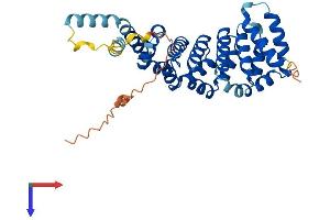 HSPBP1 Protein (AA 1-357) (His tag)