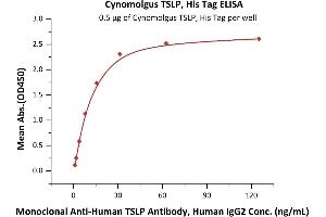 Immobilized Cynomolgus TSLP, His Tag (ABIN6973299) at 5 μg/mL (100 μL/well) can bind Monoclonal A TSLP Antibody, Human IgG2 with a linear range of 1-16 ng/mL (Routinely tested). (Thymic Stromal Lymphopoietin Protein (TSLP) (AA 29-159) (His tag))