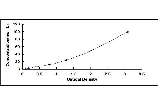 PKC epsilon ELISA Kit