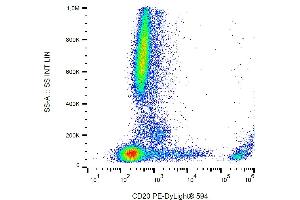 Flow cytometry analysis (surface staining) of human peripheral blood with anti-CD20 (2H7) PE-DyLigt® 594.
