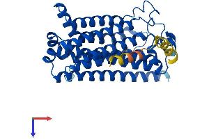 PAQR8 Protein (AA 1-354) (His tag)