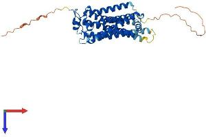 LPAR1 Protein (AA 1-364) (His tag)