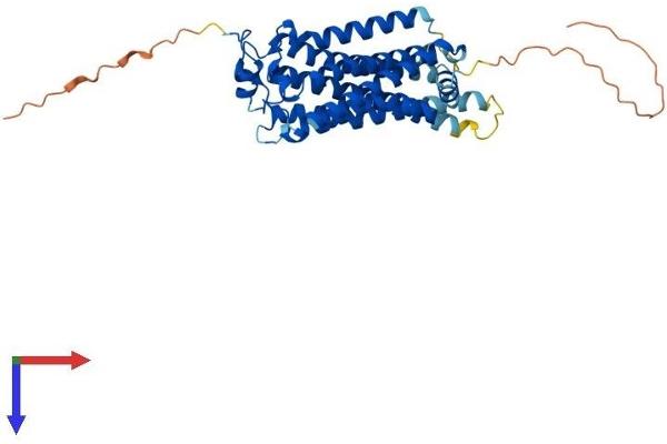 LPAR1 Protein (AA 1-364) (His tag)