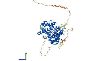 Protein Structure (PS) image for Estrogen-Related Receptor alpha (ESRRA) (AA 1-423) protein (His tag) (ABIN7547355)