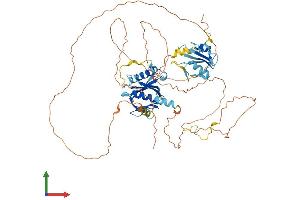 Protein Structure (PS) image for SHC (Src Homology 2 Domain Containing) Family, Member 4 (SHC4) (AA 1-630) protein (His tag) (ABIN7545980)