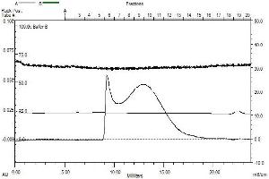 Size-exclusion chromatography-High Pressure Liquid Chromatography (SEC-HPLC) image for Chemokine (C-C Motif) Receptor 5 (CCR5) (AA 1-352) protein (Strep Tag) (ABIN3113835)