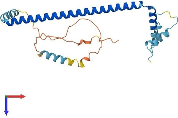 CLTA Protein (AA 1-235) (His tag)