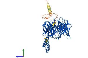 Protein Structure (PS) image for Transducin (Beta)-Like 2 (TBL2) (AA 1-442) protein (His tag) (ABIN7556182)