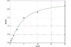 c-Fos (c-Fos) ELISA Kit