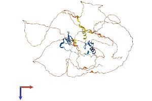 GATA6 Protein (AA 1-595) (His tag)