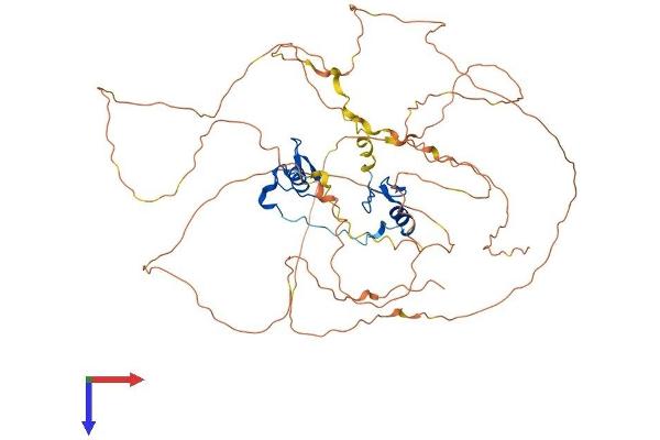 GATA6 Protein (AA 1-595) (His tag)